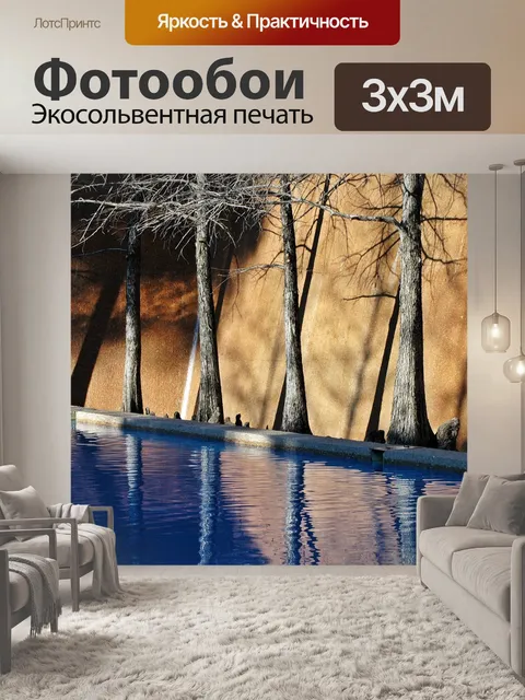 Фотообои Форт-ворс