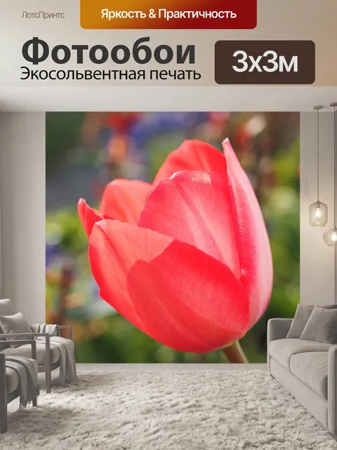 Фотообои Тюльпан