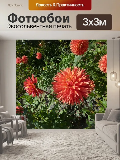 Фотообои Красные цветы