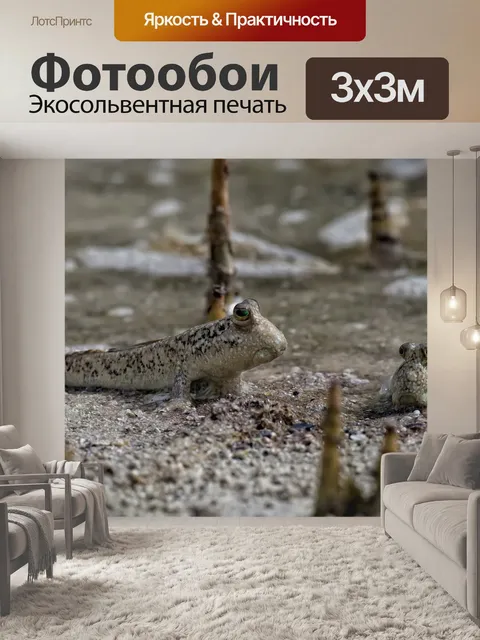 Фотообои Рыбы