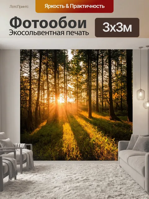 Фотообои вечерний закат, золотистые лучи, длинные тени