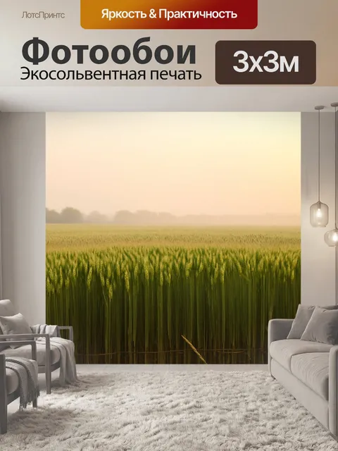 Фотообои утренний туман на пшеничном поле
