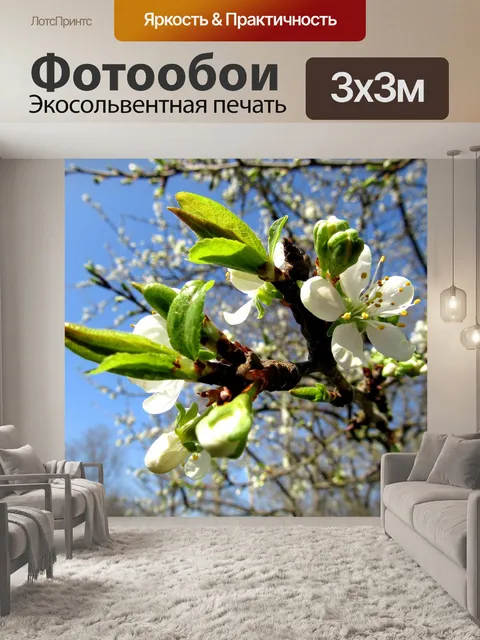 Фотообои Цветение сливы