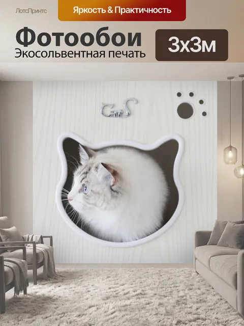 Фотообои Кошка
