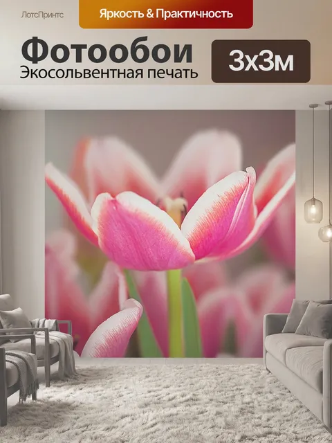 Фотообои Тюльпан