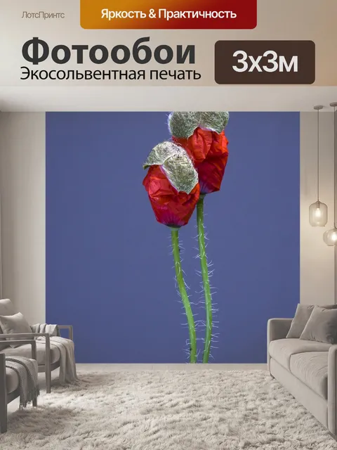 Фотообои Мак