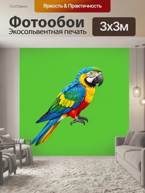 Фотообои Яркий попугай ара на зелёном фоне