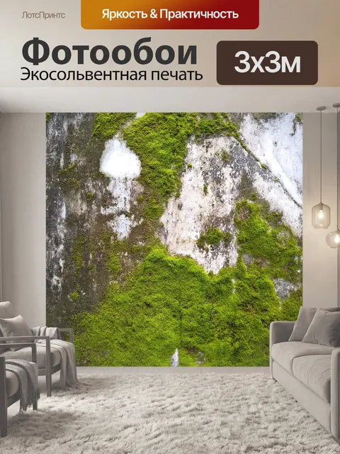 Фотообои Лишайниковая стена 1