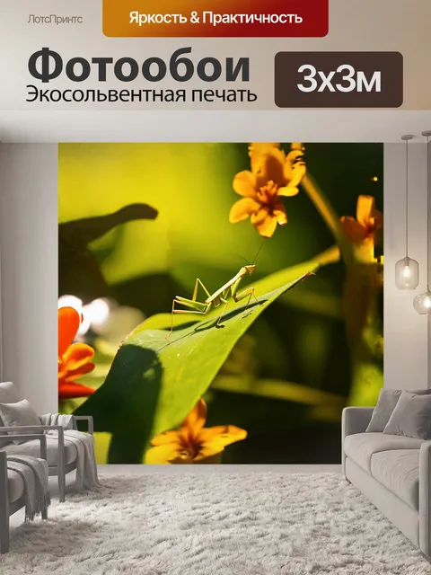Фотообои нежный зеленый богомол