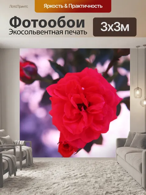 Фотообои Красные кустовые розы