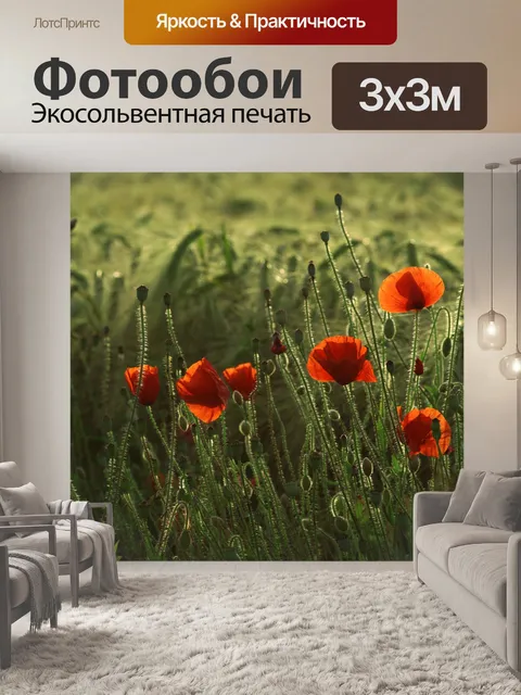 Фотообои Маков поле цветет природа