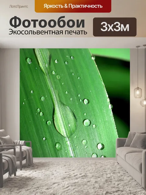 Фотообои Капля воды на листе