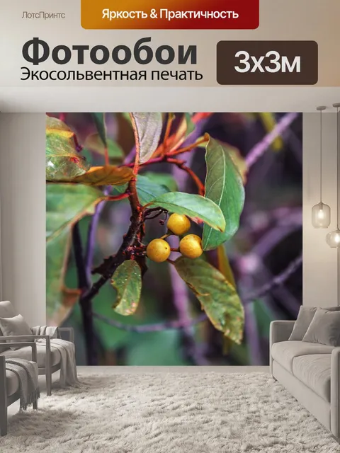 Фотообои Ягоды