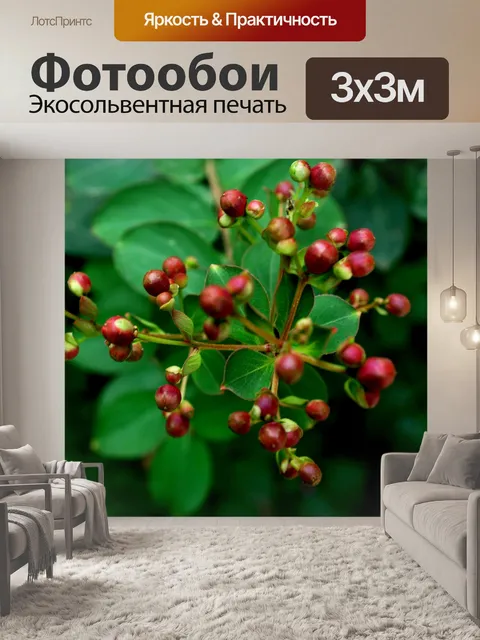 Фотообои Красивые ягоды