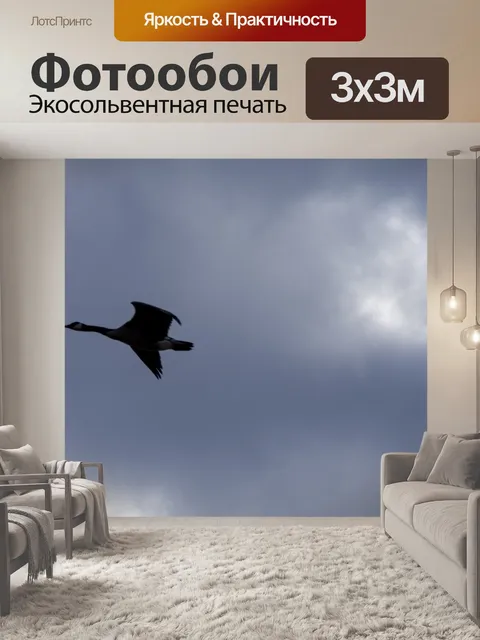 Фотообои Летающие гуси