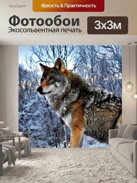 Фотообои Волк