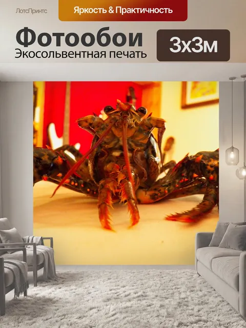 Фотообои Живой лобстер