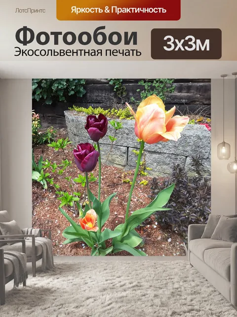 Фотообои красивые цветы