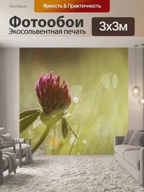 Фотообои Красный клевер