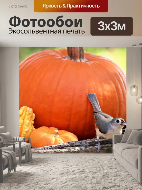 Фотообои Туфтовая синица и тыквы
