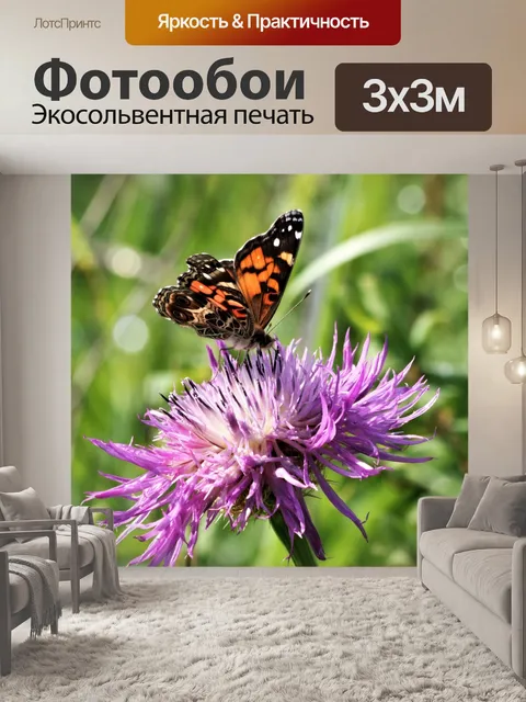 Фотообои Американская леди бабочка