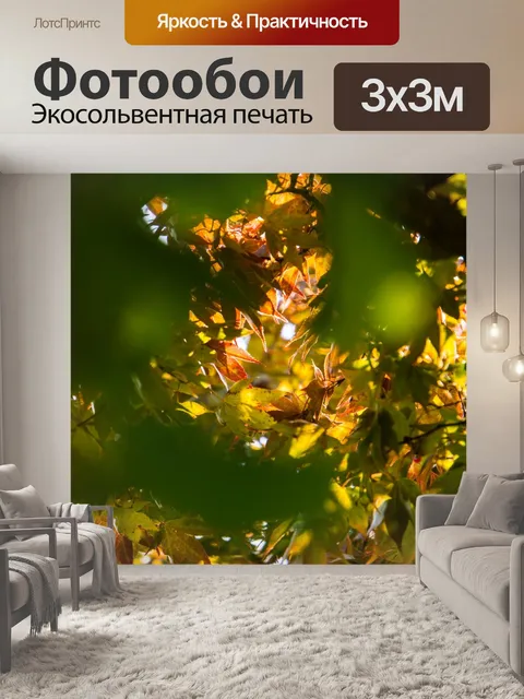 Фотообои Ранняя осень