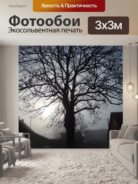 Фотообои Утро