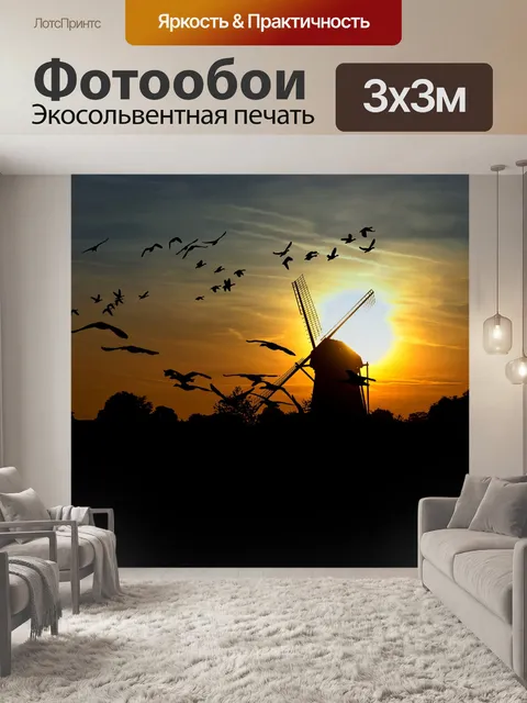 Фотообои Дикие гуси в Нижний Рейн