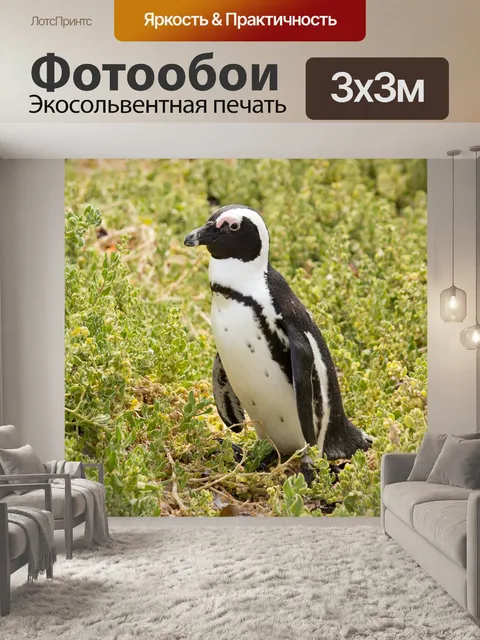 Фотообои Пингвин