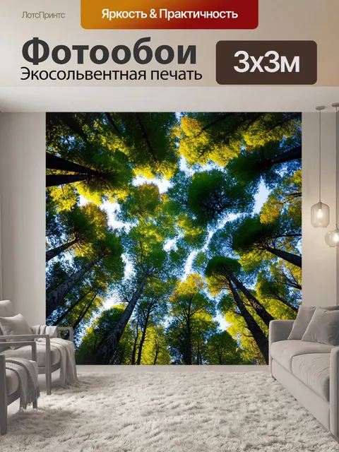 Фотообои перспектива густого леса с высокими деревьями и солнечными лучами, пробивающимися сквозь листву