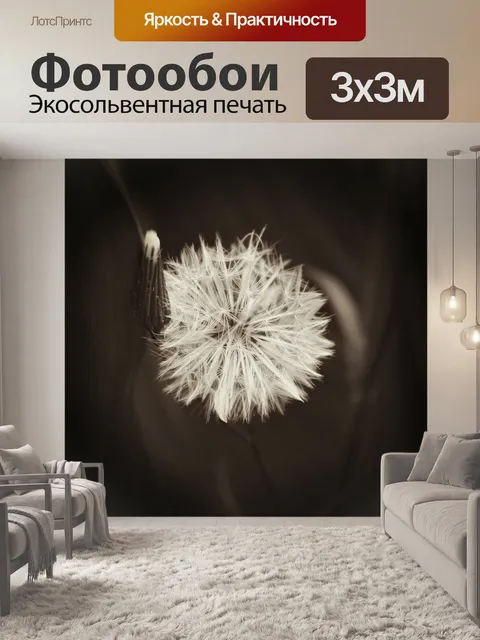Фотообои Одуванчик
