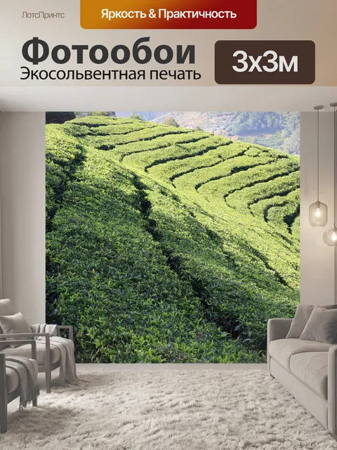 Фотообои Чайная плантация