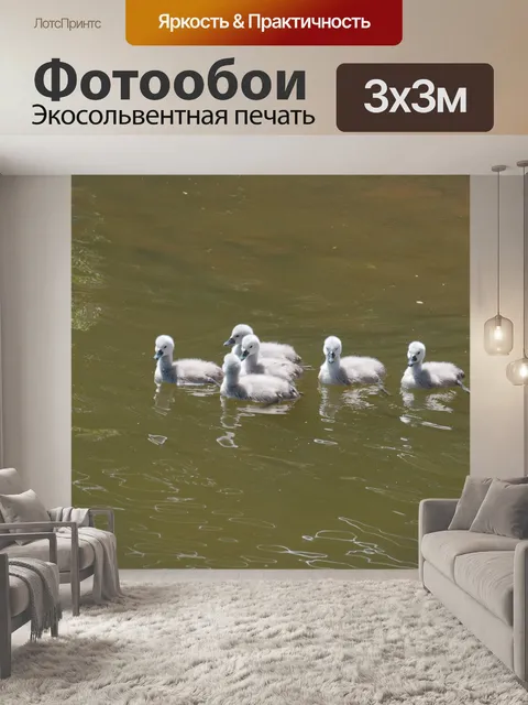 Фотообои Детские лебеди на воде