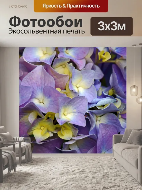 Фотообои сиреневые и пурпурные оттенки на гортенз