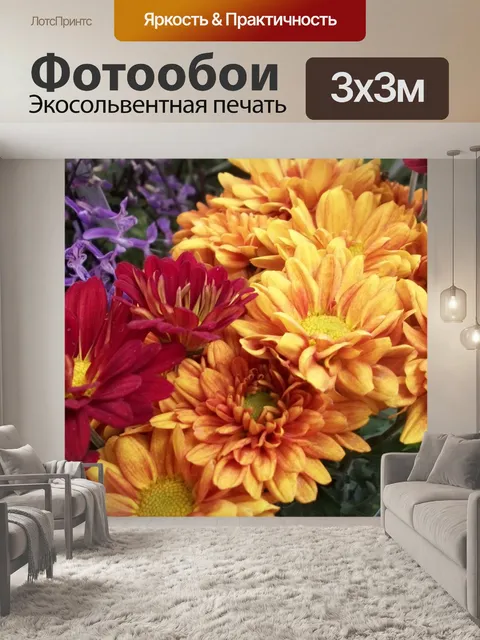 Фотообои Хризантемы