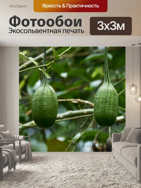 Фотообои Тропики