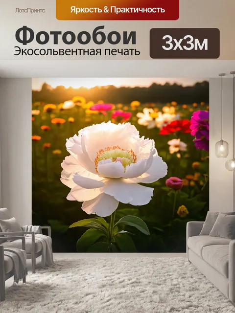 Фотообои белый пион, распустившийся в поле среди других разноцветных цветов, закатное солнце отбрасывает тёплые тени…