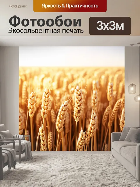 Фотообои пшеничное поле, освещенноегоризонтальным светом, каждое злако наполняется жизнью