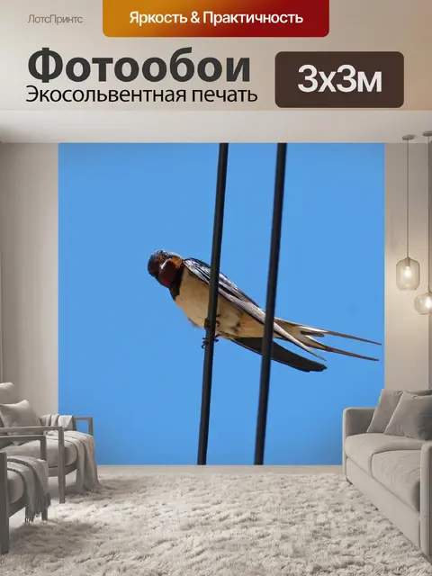 Фотообои Глотать