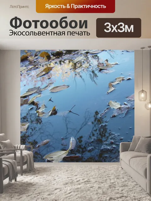 Фотообои Лужа