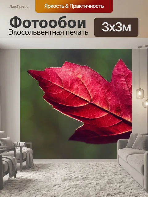 Фотообои Осень листва лист листва падение