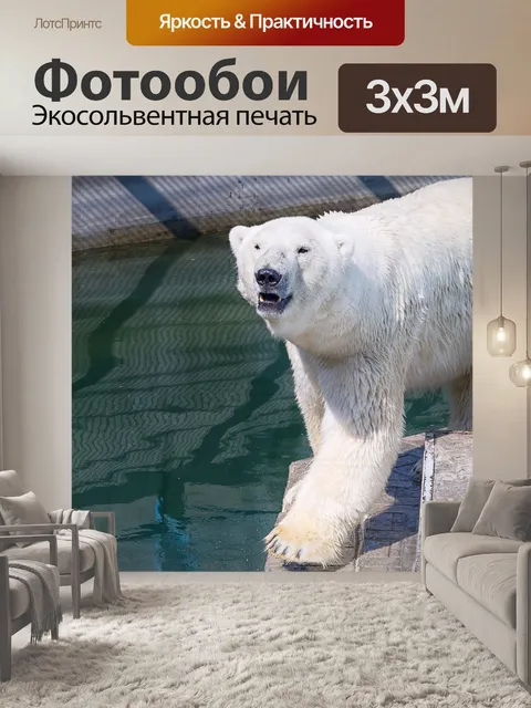 Фотообои Белый медведь