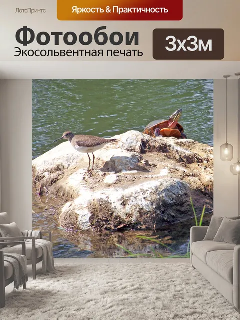 Фотообои Птица и Черепаха