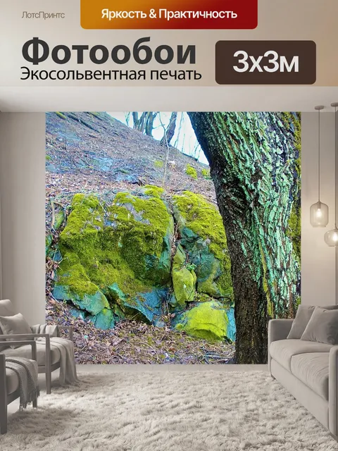 Фотообои Дерево