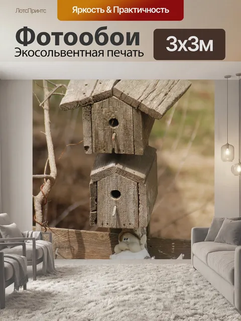 Фотообои Птица