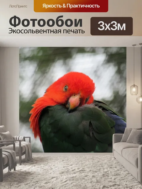 Фотообои Птицы