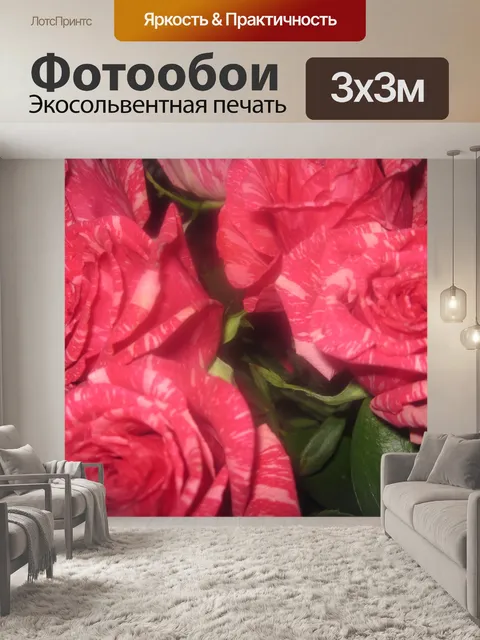 Фотообои Прекрасная роза Vine