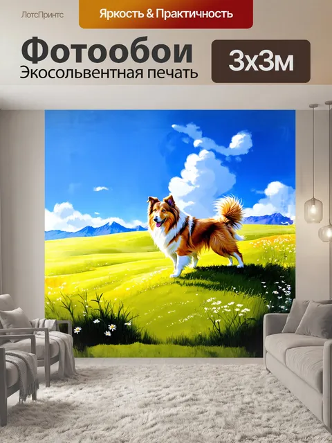 Фотообои пейзаж с грубой колли, играющей на зеленом холме под ясным голубым небом