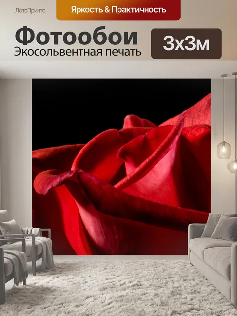 Фотообои Красная роза, Любовь Страсть
