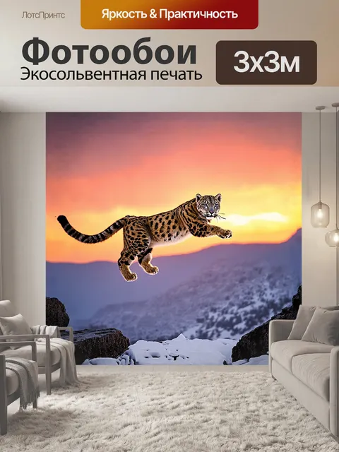 Фотообои снежный барс, ловко прыгающий с одной скалы на другую, на фоне зимнего заката